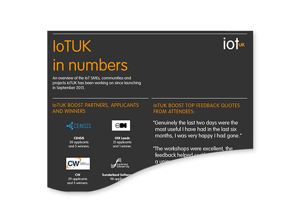 loTUK in numbers Infographic